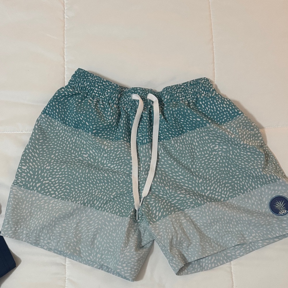 chubbies 5.5 Teal and Light Blue Striped Swim Trunks
